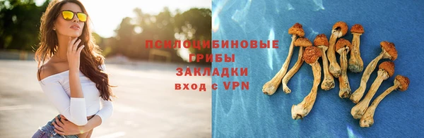 спиды Бородино