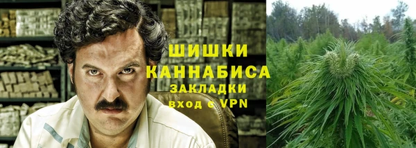 спиды Бородино