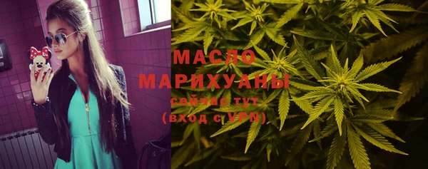 спиды Бородино