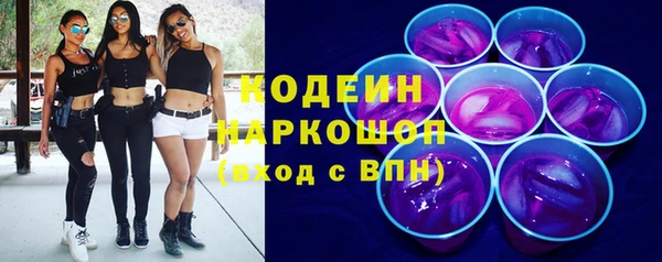 спиды Бородино